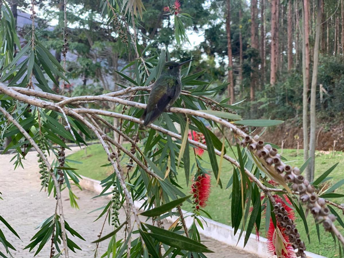 Flor De Cafe Pousada Pedra Menina Dış mekan fotoğraf
